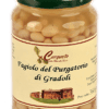 Fagiolo del Purgatorio di Gradoli in vaso